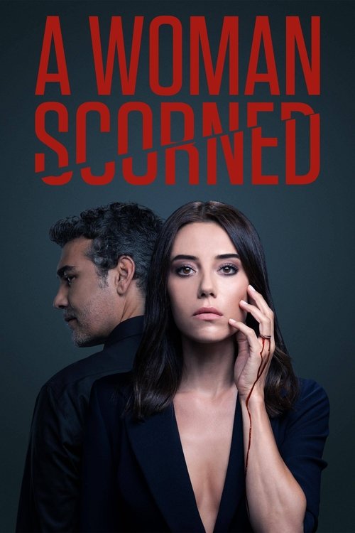 Sadakatsiz poster