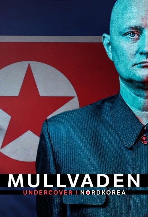 The Mole – Undercover in North Korea poster