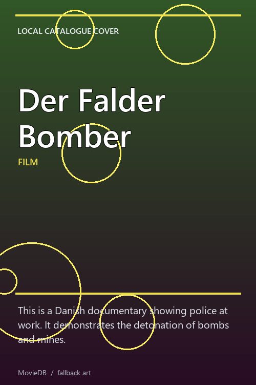 Der Falder Bomber poster