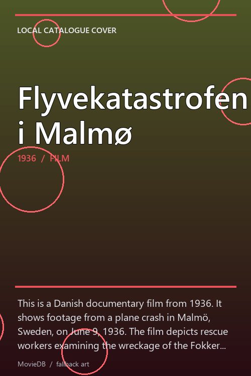 Flyvekatastrofen i Malmø poster