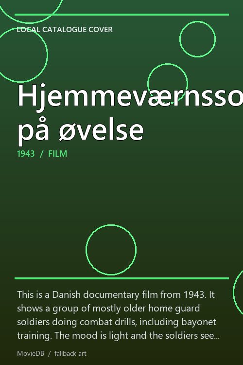 Hjemmeværnssoldater på øvelse poster