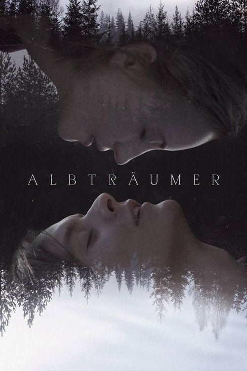 Albträumer poster