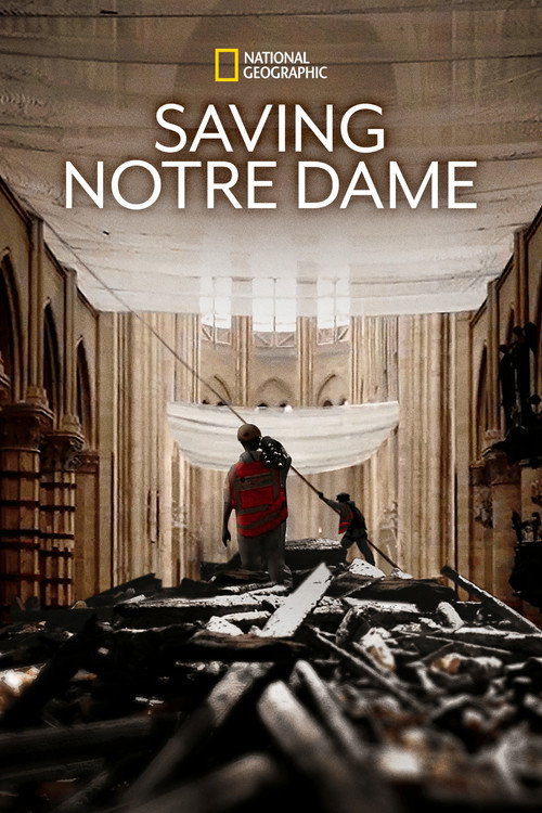 Saving Notre-Dame poster
