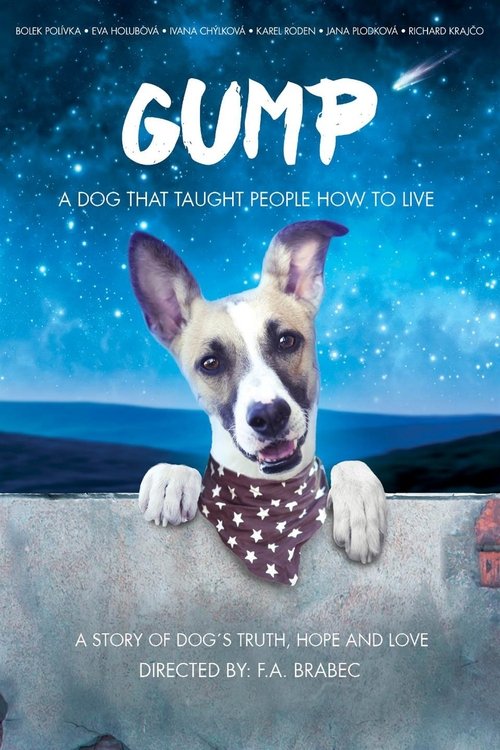Gump - pes, který naucil lidi zít poster
