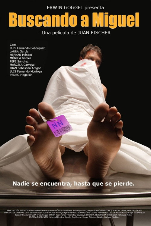 Buscando a Miguel poster