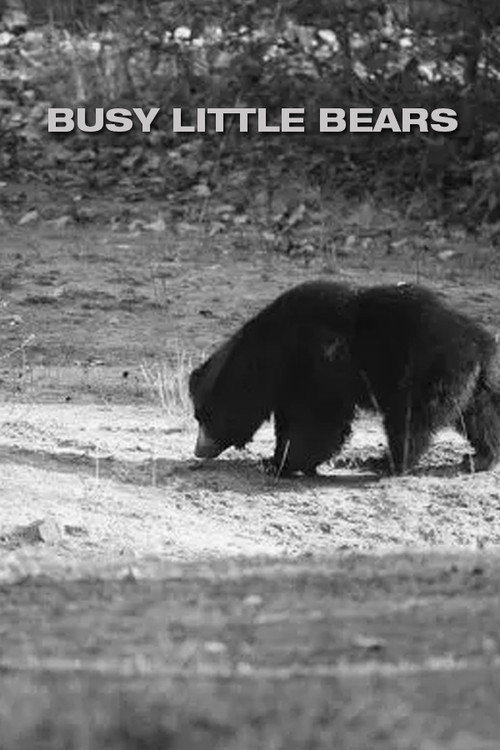 Busy Little Bears poster