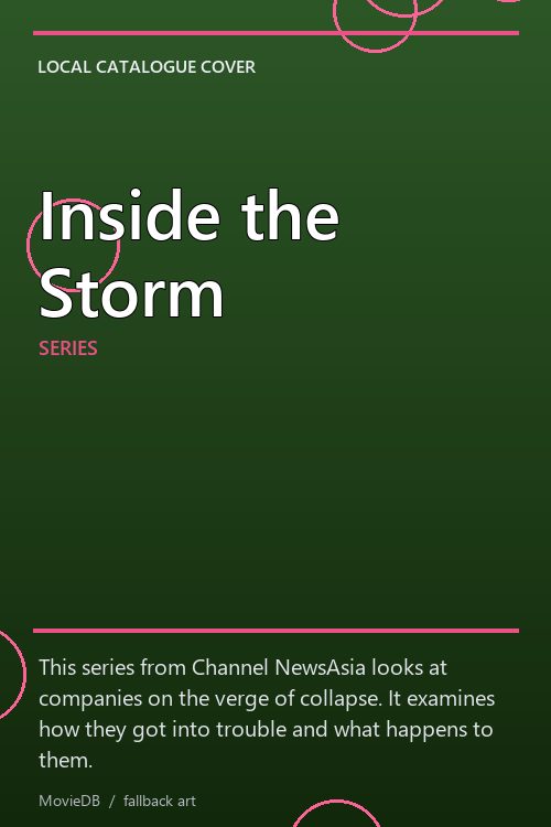 Inside the Storm poster