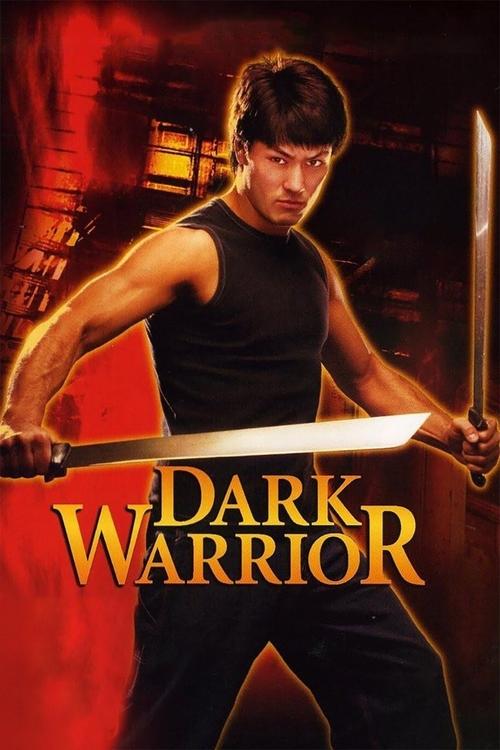 Dark Assassin poster
