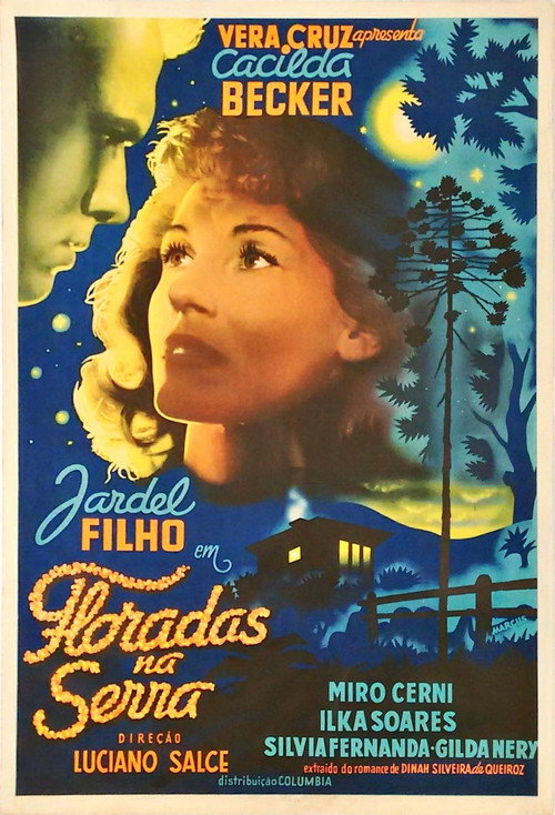 Floradas na serra poster