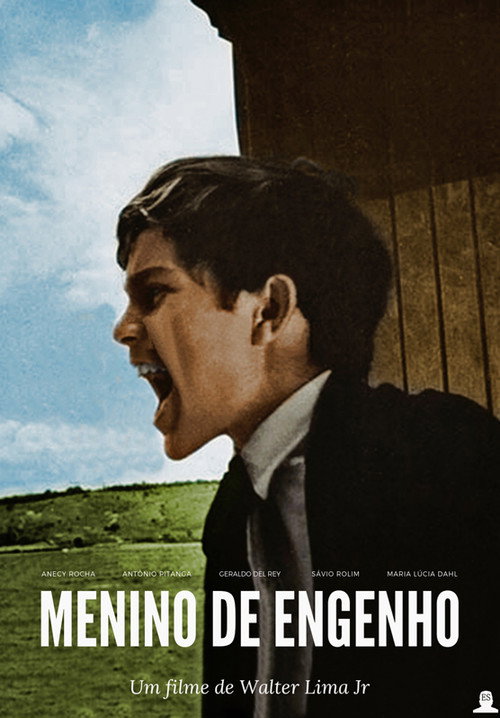Menino de Engenho poster