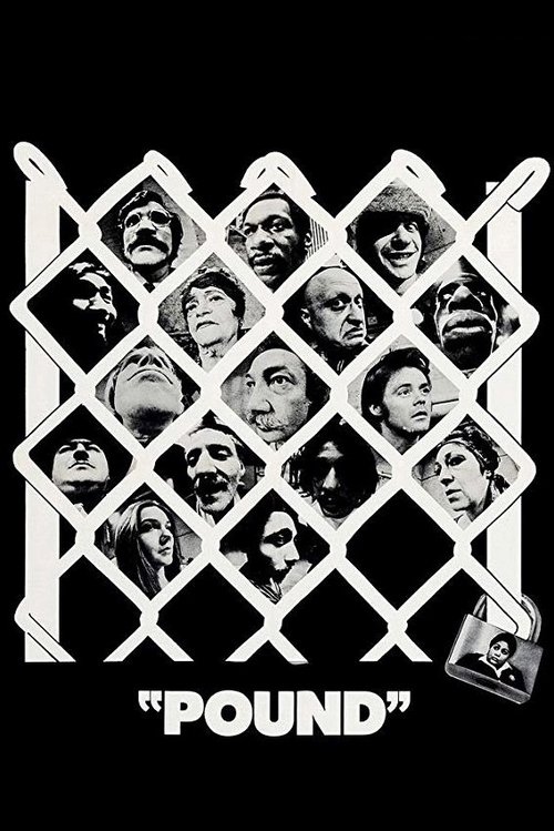 Pound poster