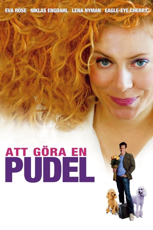 Att göra en pudel poster