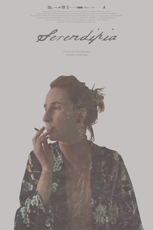 Serendipia poster