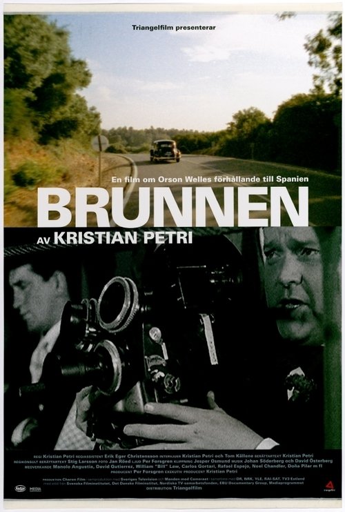 Brunnen (The Well) poster