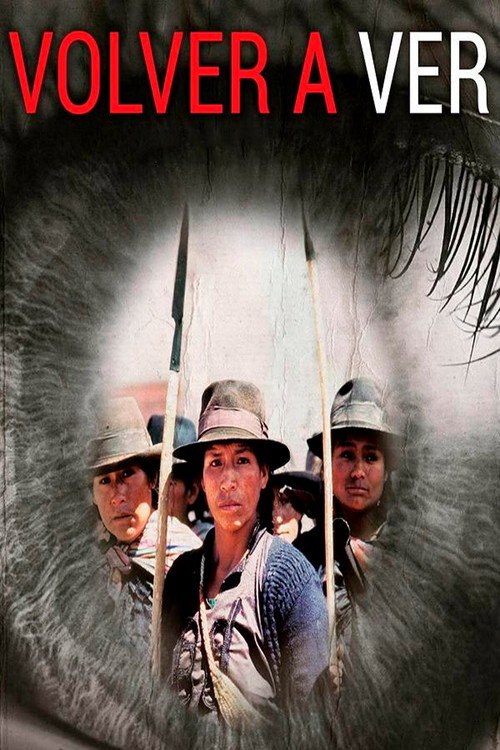 Seeing Again poster