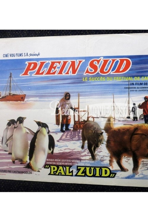 Plein sud poster