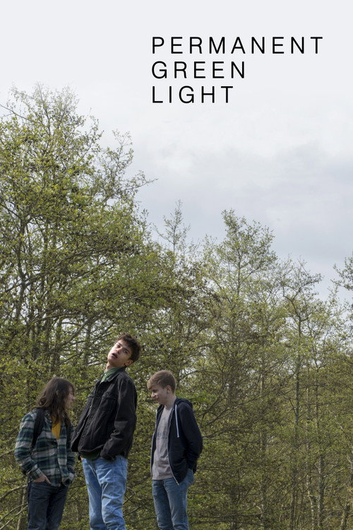 Permanent Green Light poster