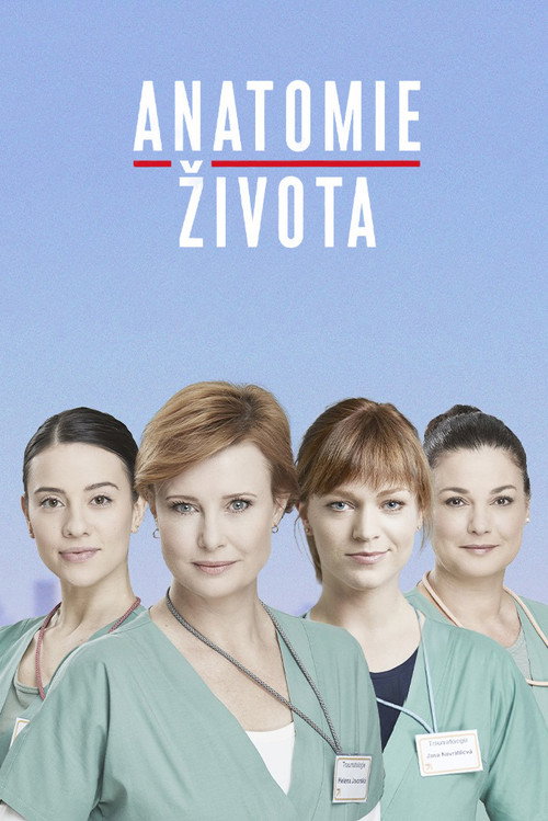 Anatomie zivota poster
