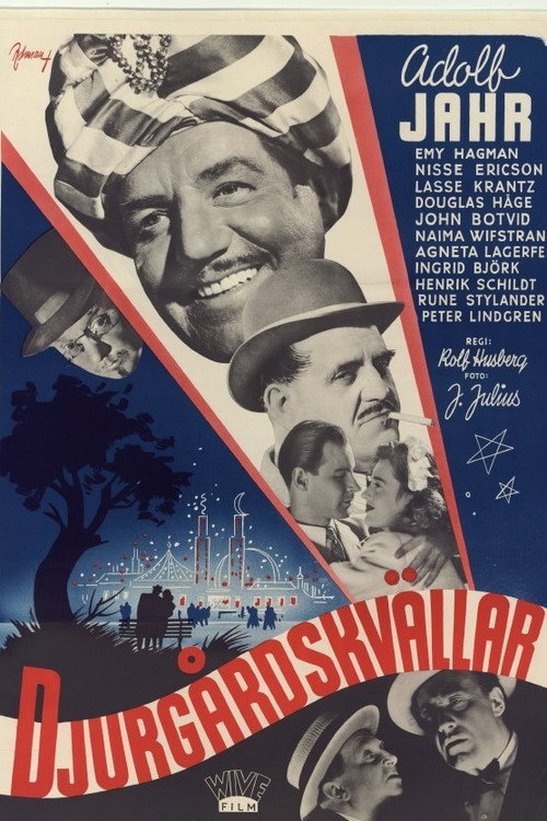 Evening at the Djurgarden poster