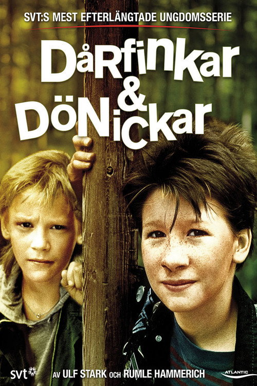 Dårfinkar & dönickar poster
