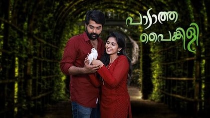 Padatha Painkili poster