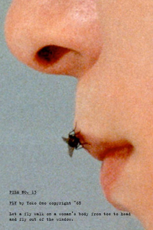 Fly poster
