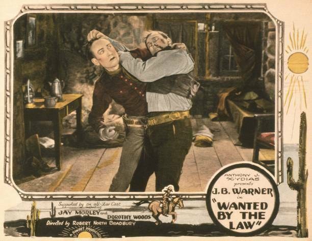 Wanted by the Law poster