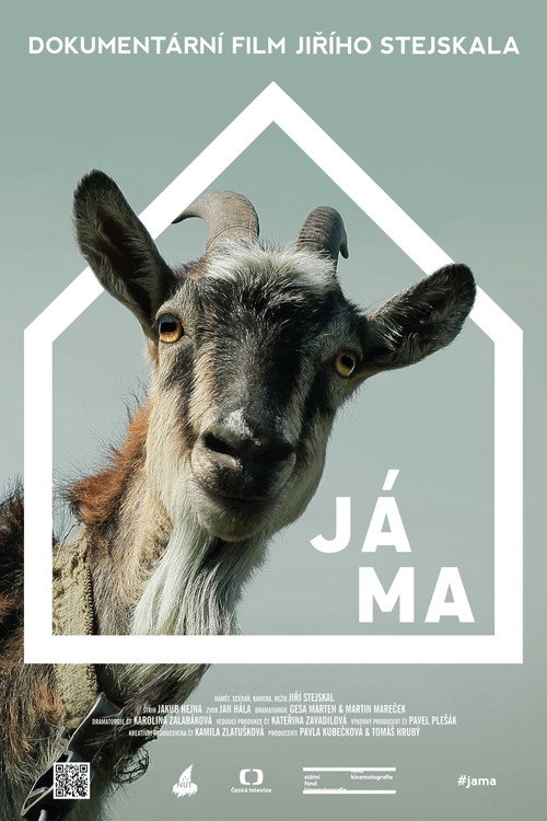 My Home poster