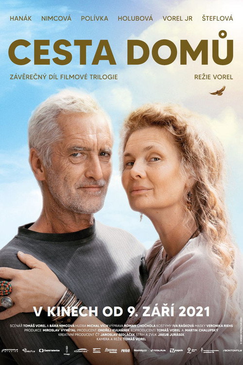 Cesta domu poster