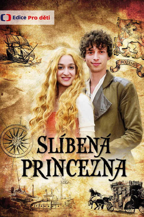 The Promised Princess poster
