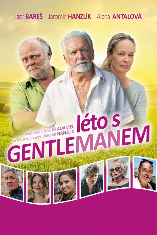 Léto s gentlemanem poster