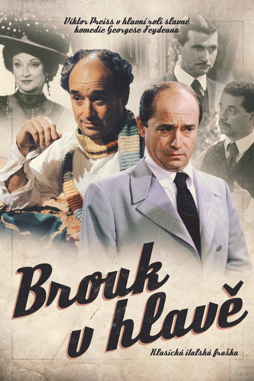 Brouk v hlave poster