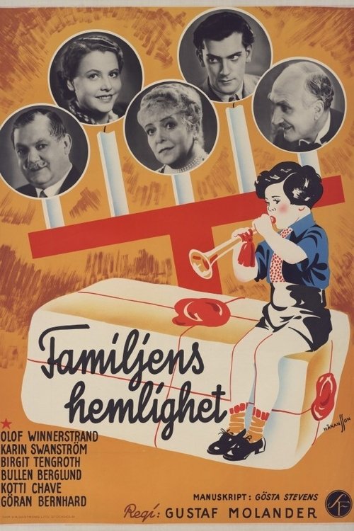 The Family Secret poster