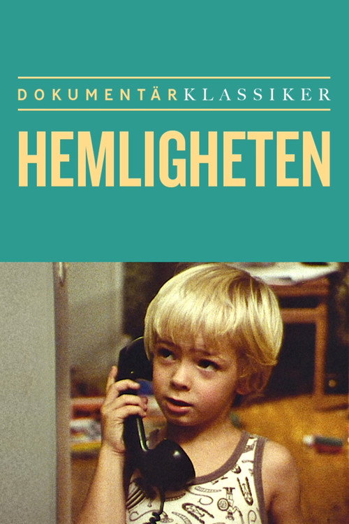 The Secret poster