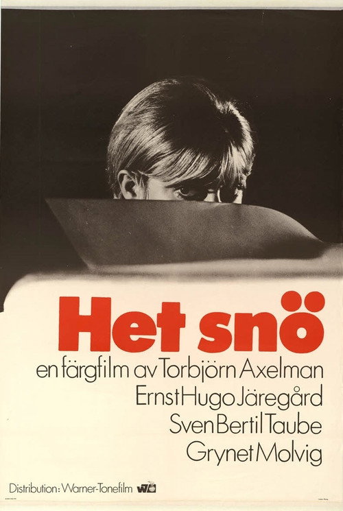 Het snö poster
