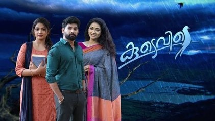 Koodevide poster