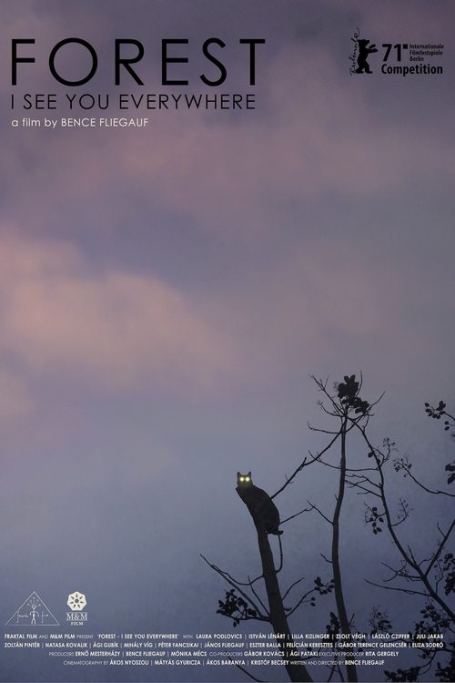 Forest – I See You Everywhere poster