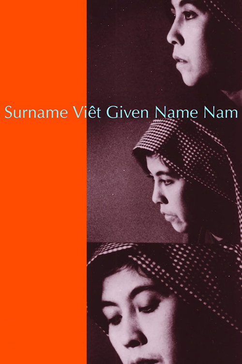 Surname Viet Given Name Nam poster