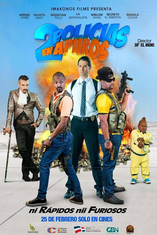 Two Cops in Trouble poster