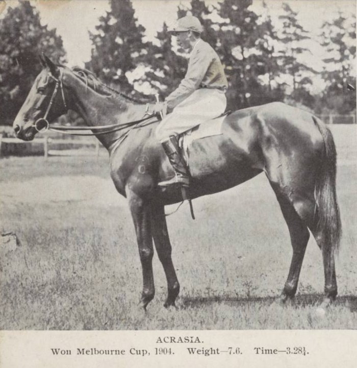 The Melbourne Cup poster