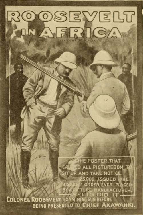 Hunting Big Game in Africa poster
