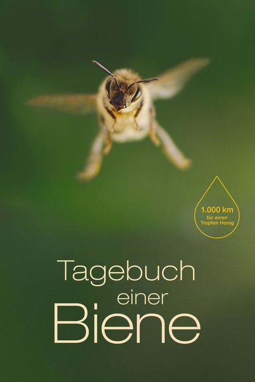 A Bee's Diary poster