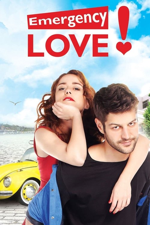 Acil Ask Araniyor poster