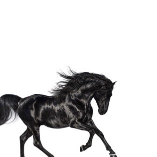 Old Town Road poster