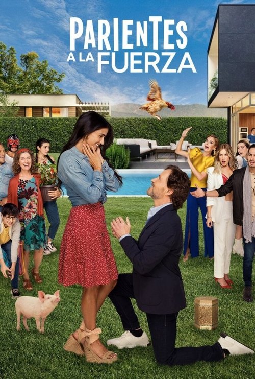 Parientes a la fuerza poster
