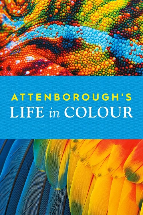 Life in Colour with David Attenborough poster