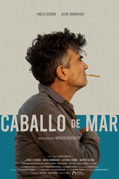 Caballo de Mar poster