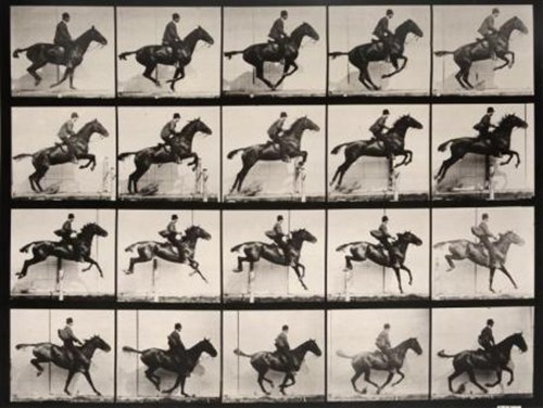 Man Riding Jumping Horse poster