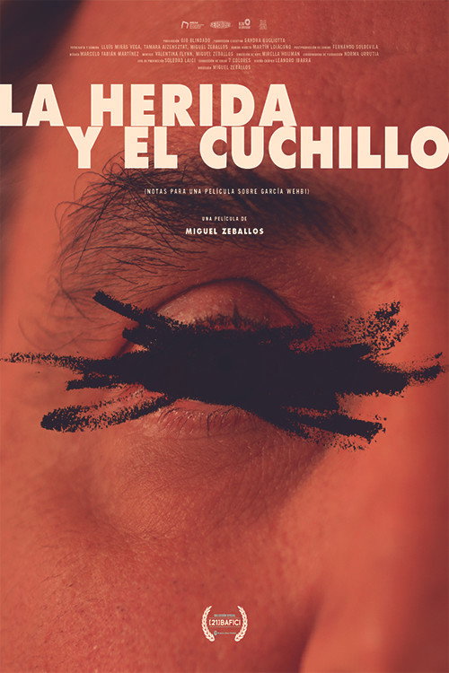 La herida y el cuchillo (Notas para un film sobre Emilio García Wehbi) poster