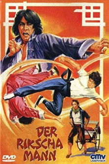 My Kung Fu Twelve Kicks poster